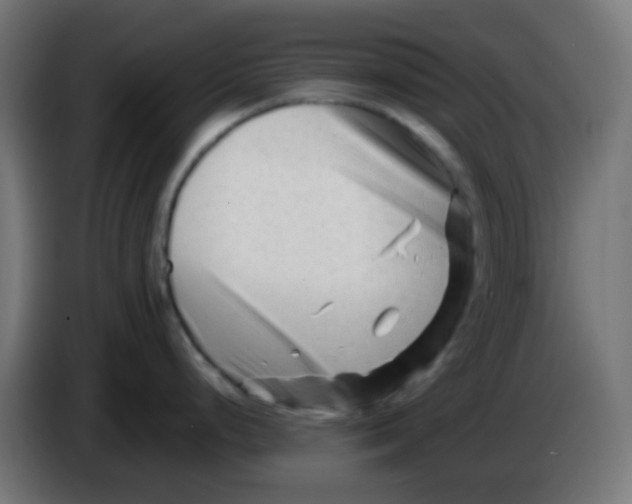 X0000086061248200704132011