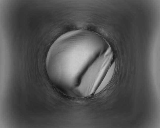 X0000086061249200704132010