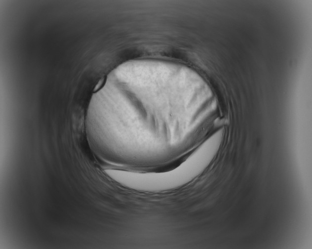 X0000086061251200704132010