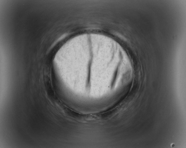 X0000086061255200704132010