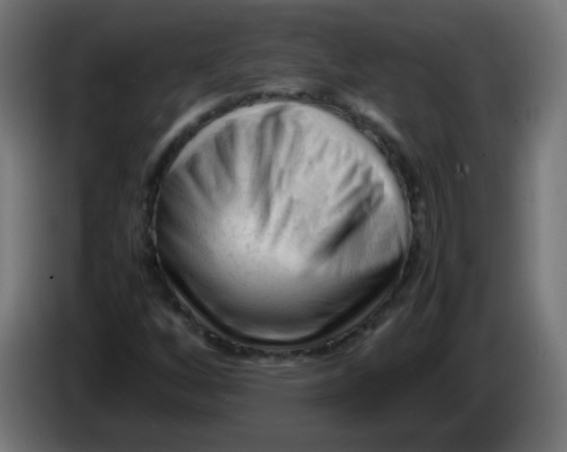 X0000086061256200704132010