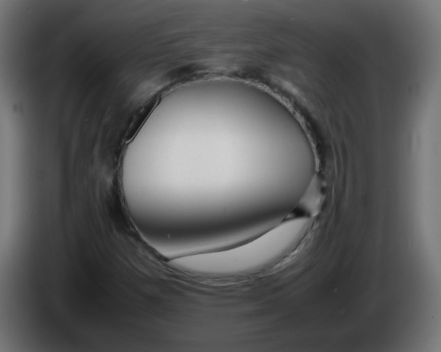 X0000086061257200704132010