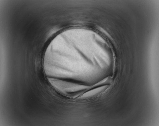 X0000086061259200704132010