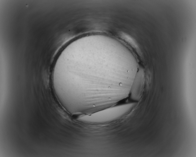 X0000086061260200704132010