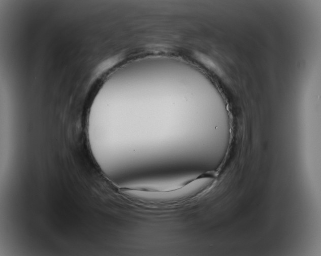 X0000086061261200704132010