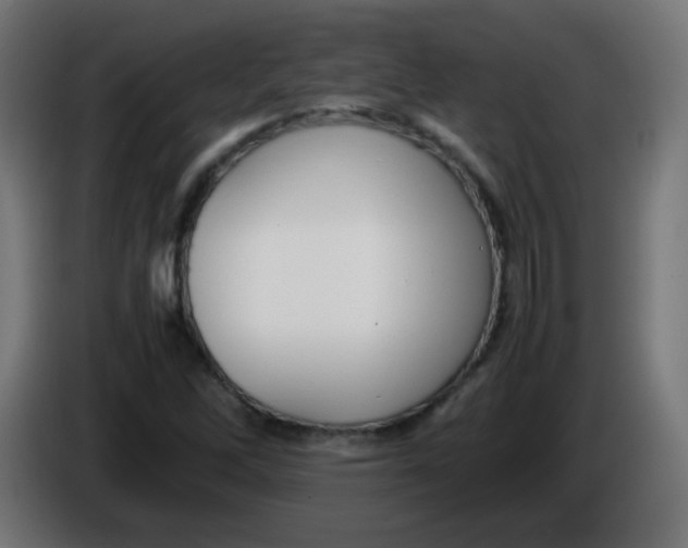 X0000086061262200704132010