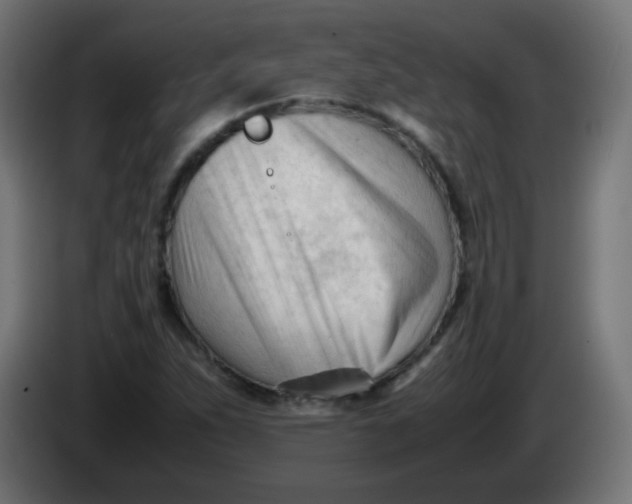 X0000086061263200704132010