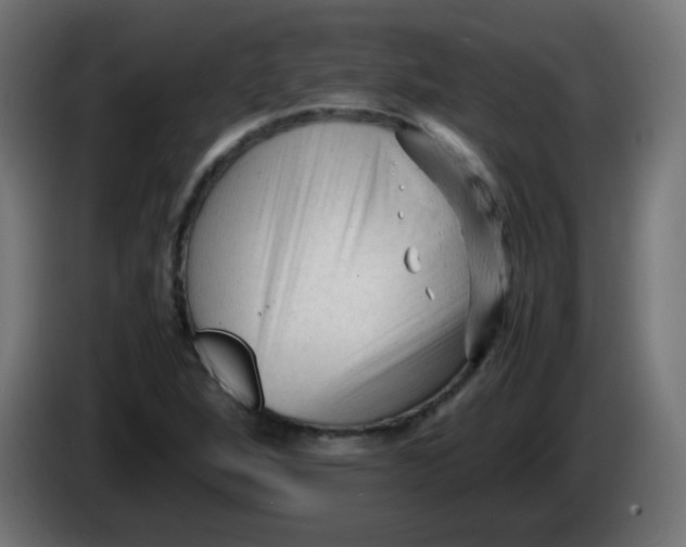 X0000086061264200704132010