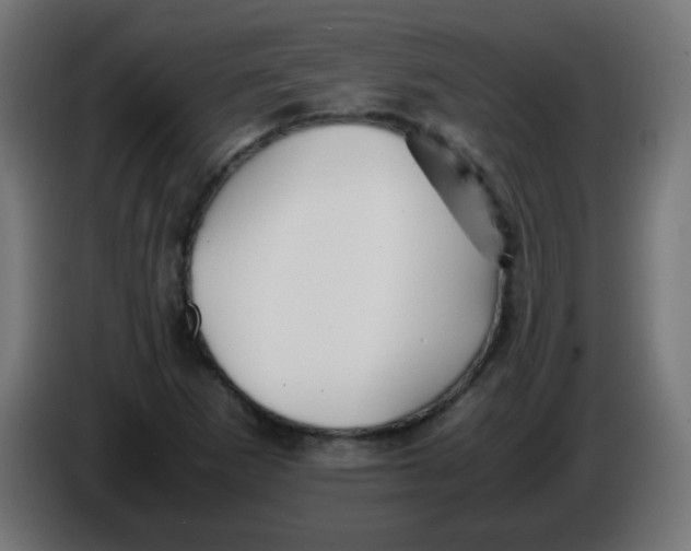 X0000086061265200704132010