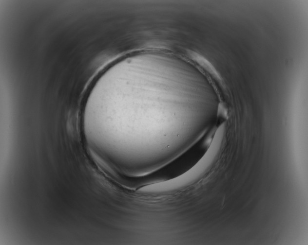 X0000086061268200704132010