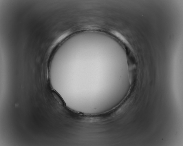 X0000086061269200704132010