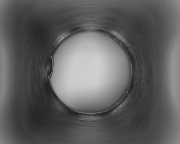 X0000086061273200704132010