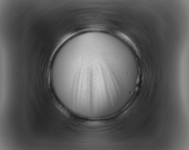 X0000086061276200704132010