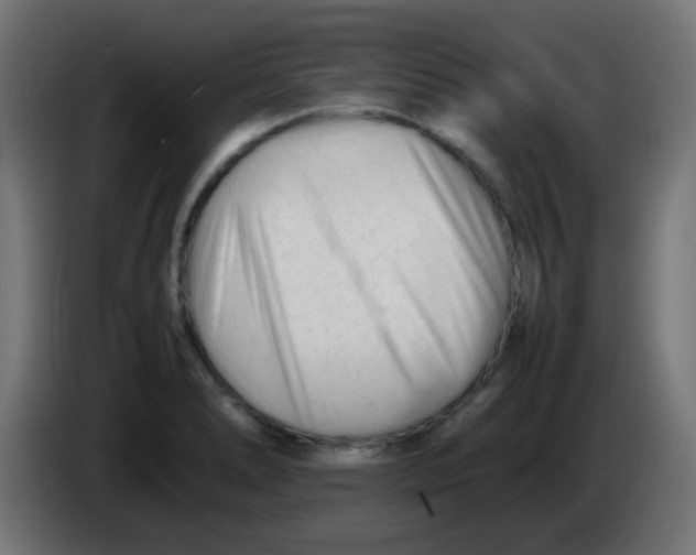 X0000086061278200704132010