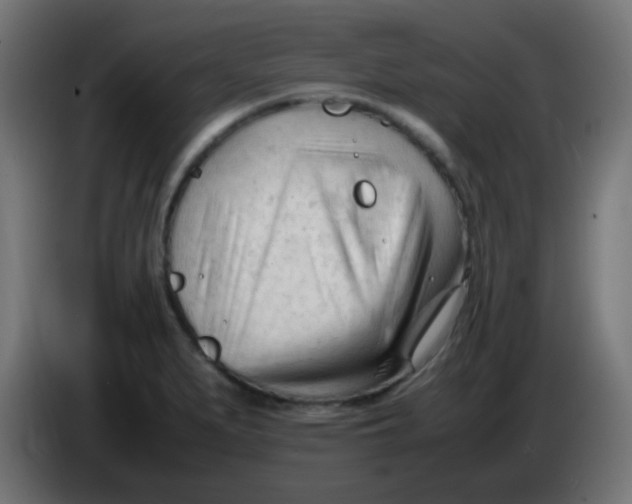 X0000086061279200704132010