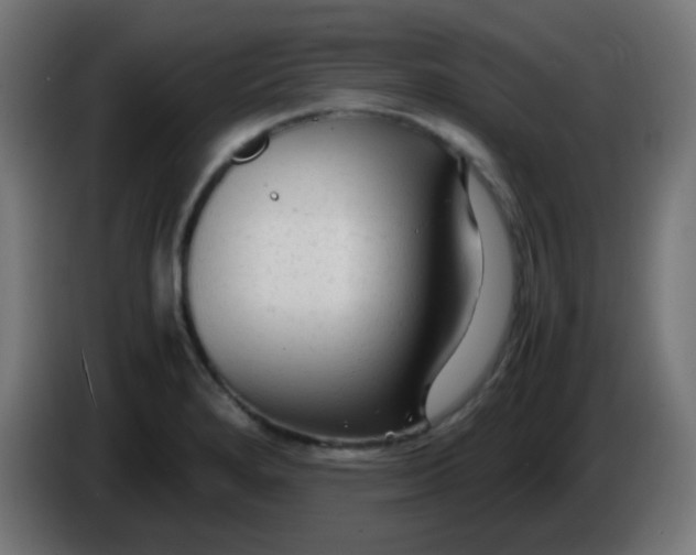 X0000086061280200704132010