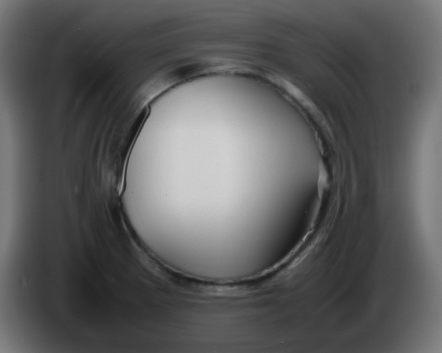 X0000086061281200704132010