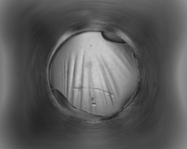 X0000086061283200704132010