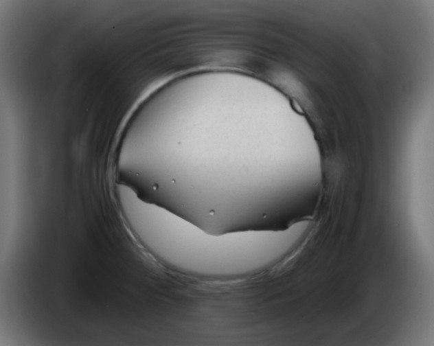 X0000086061284200704132010