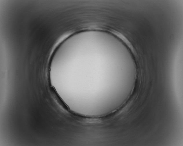 X0000086061285200704132010