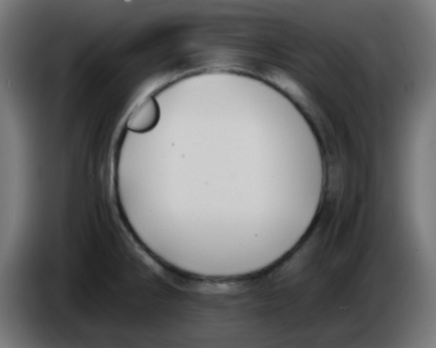 X0000086061286200704132010