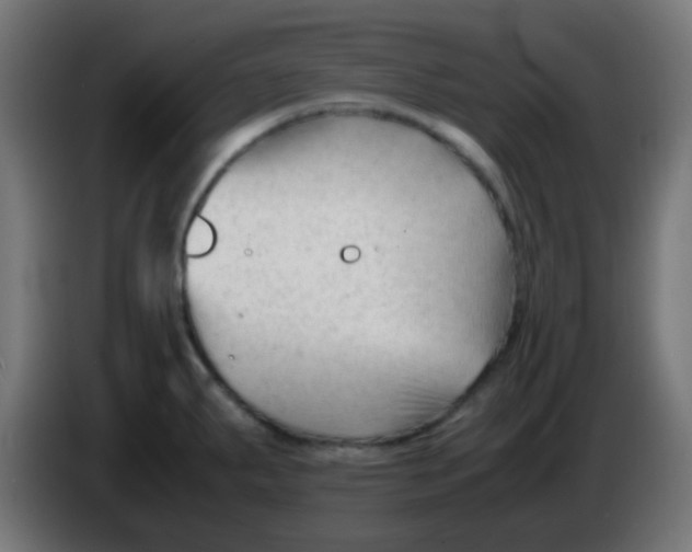 X0000086061287200704132010