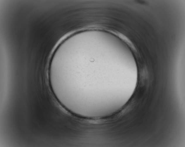 X0000086061288200704132010