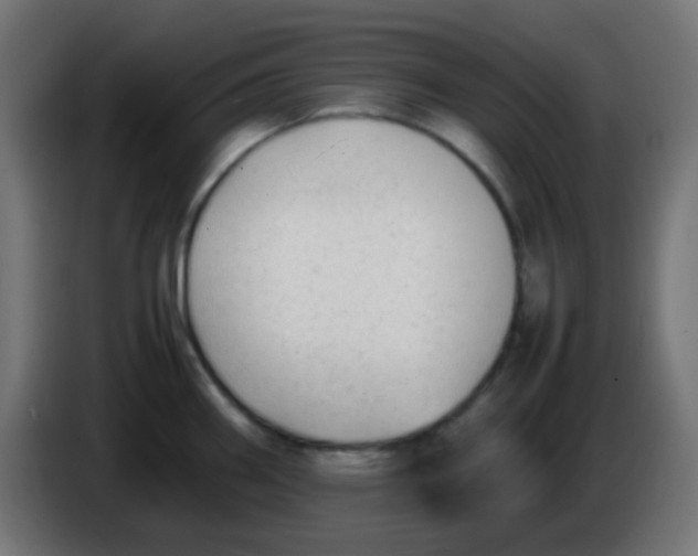 X0000086061290200704132010