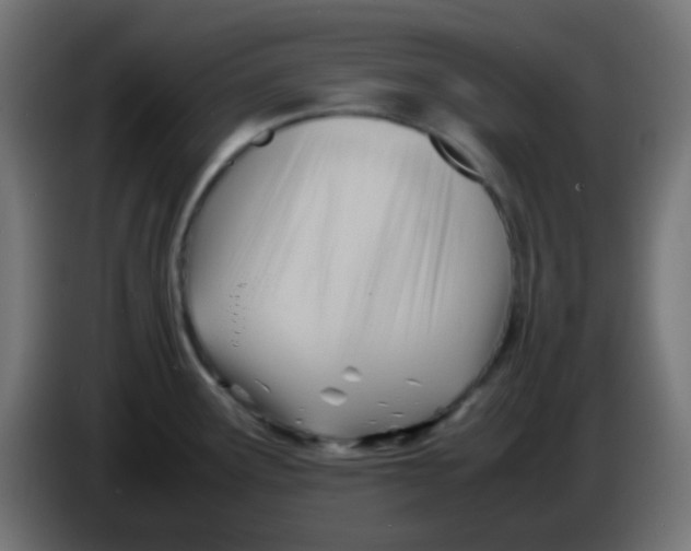 X0000086061291200704132010