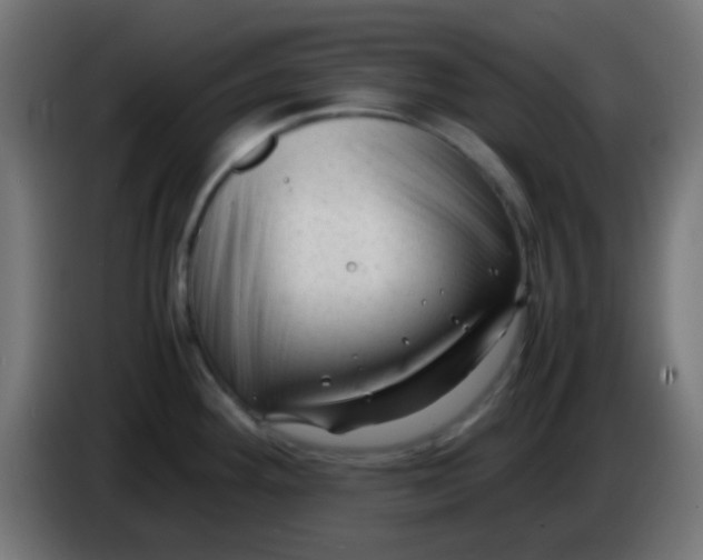 X0000086061292200704132010