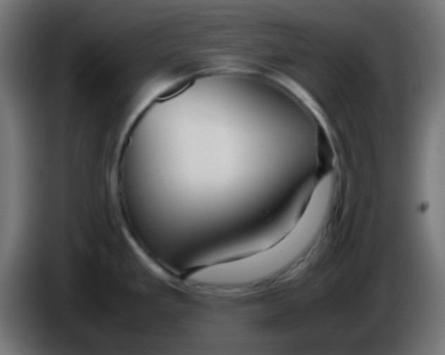 X0000086061293200704132010