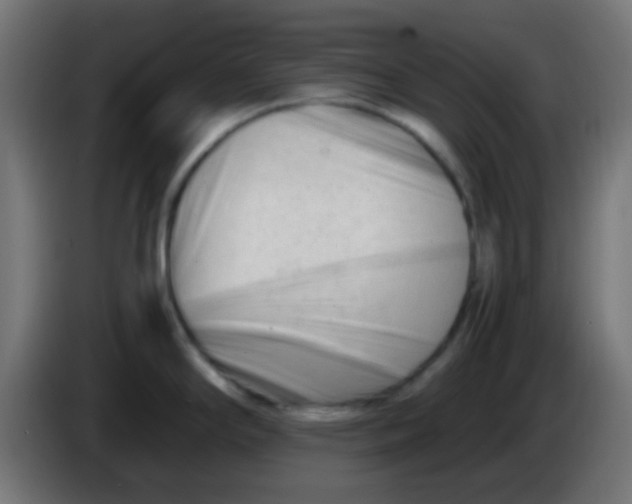 X0000086061294200704132010