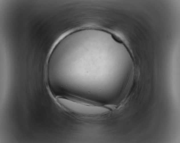 X0000086061295200704132010