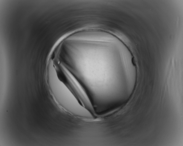 X0000086061296200704132010