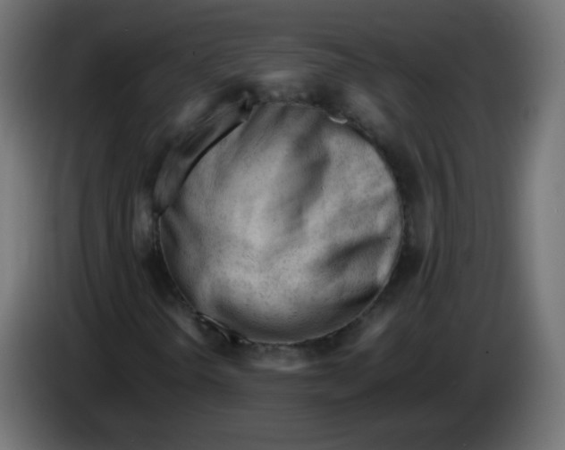 X0000086061298200704132009