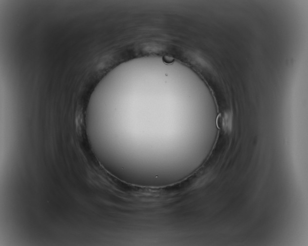 X0000086061299200704132009