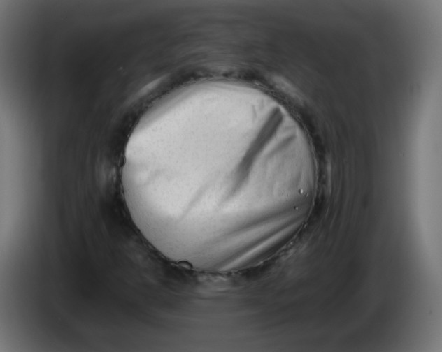 X0000086061302200704132009