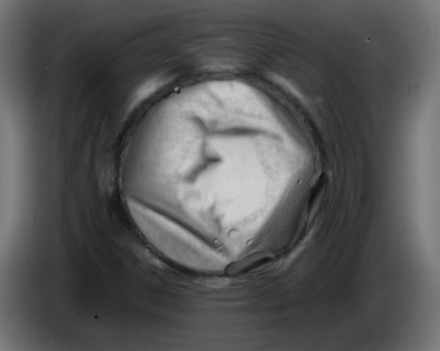 X0000086061306200704132009