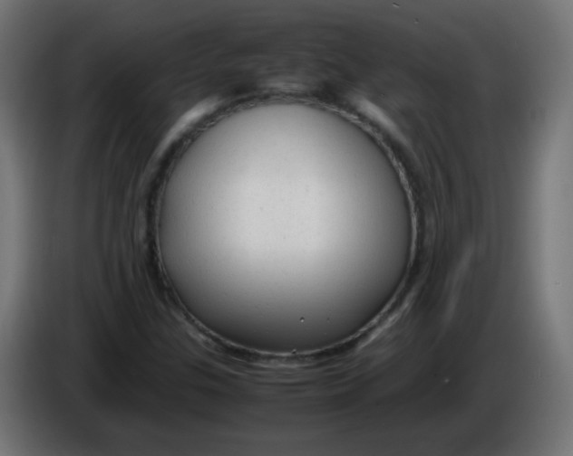 X0000086061307200704132009