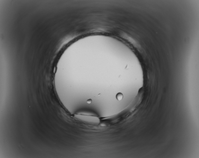 X0000086061308200704132009