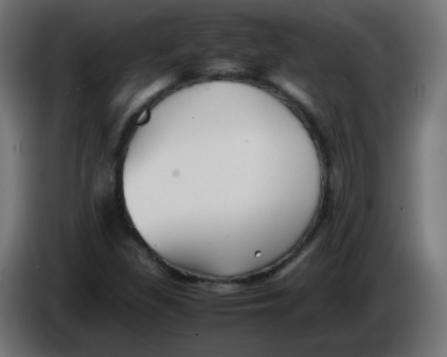 X0000086061309200704132009