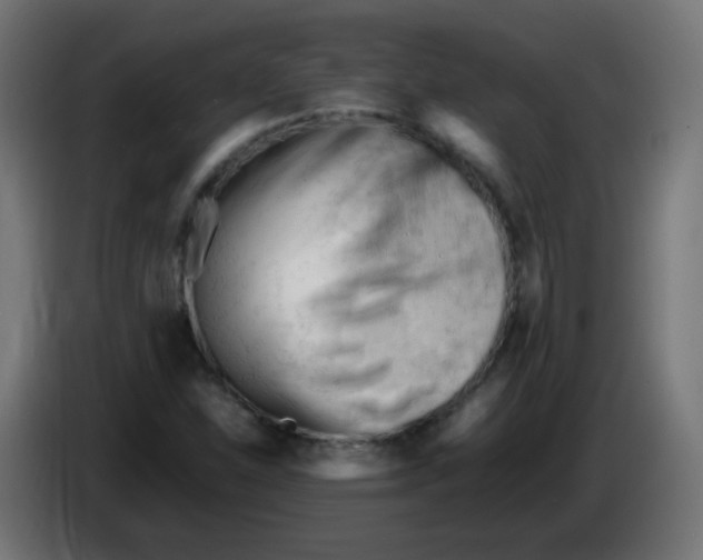 X0000086061310200704132009