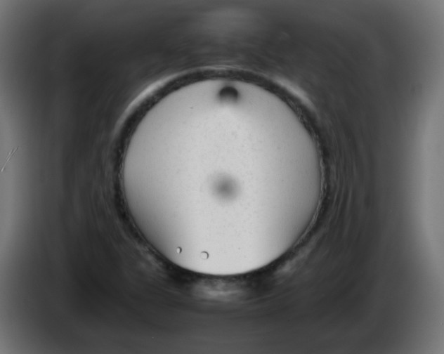 X0000086061311200704132009