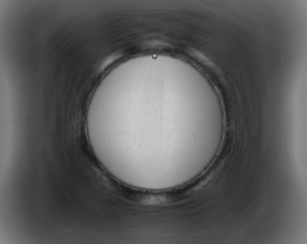 X0000086061313200704132009