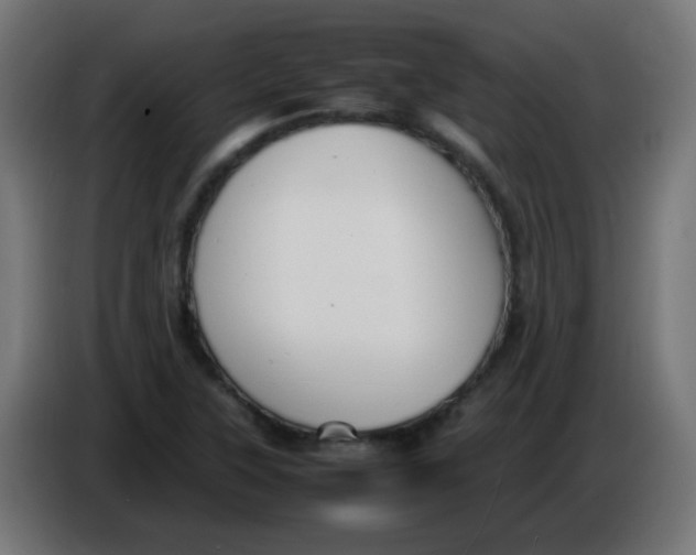 X0000086061315200704132009