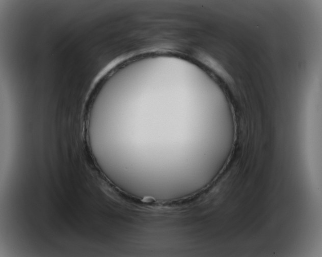 X0000086061316200704132009