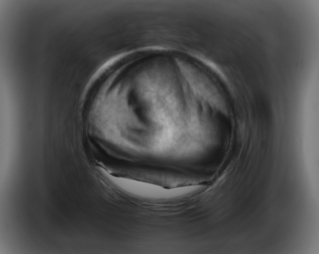 X0000086061319200704132009