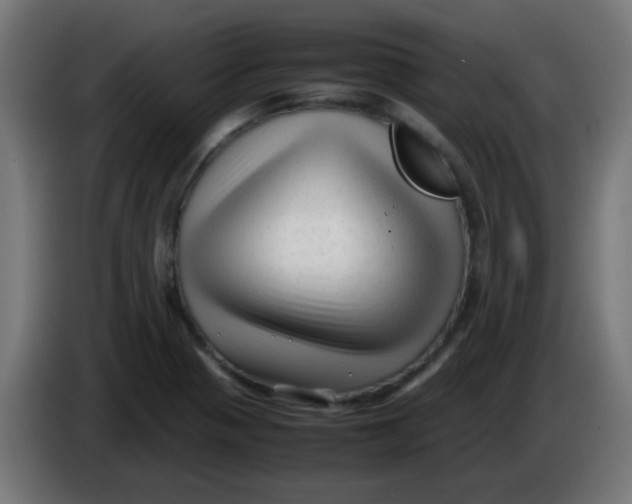 X0000086061321200704132009