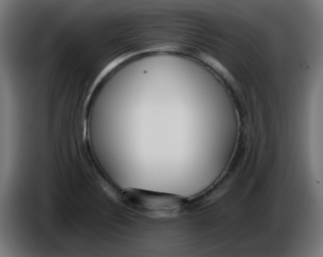 X0000086061324200704132009