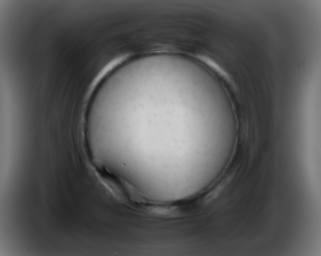 X0000086061325200704132009